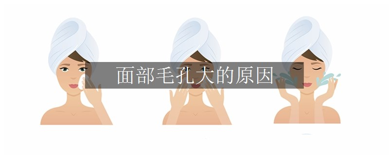 面部毛孔大的原因