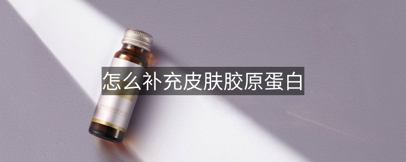 怎么补充皮肤胶原蛋白