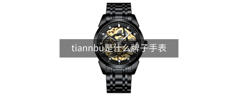 tiannbu是什么牌子手表