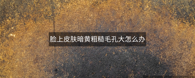 脸上皮肤暗黄粗糙毛孔大怎么办