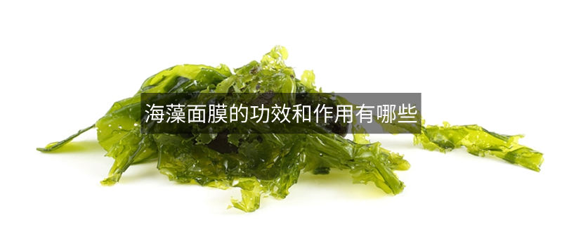 海藻面膜的功效和作用有哪些