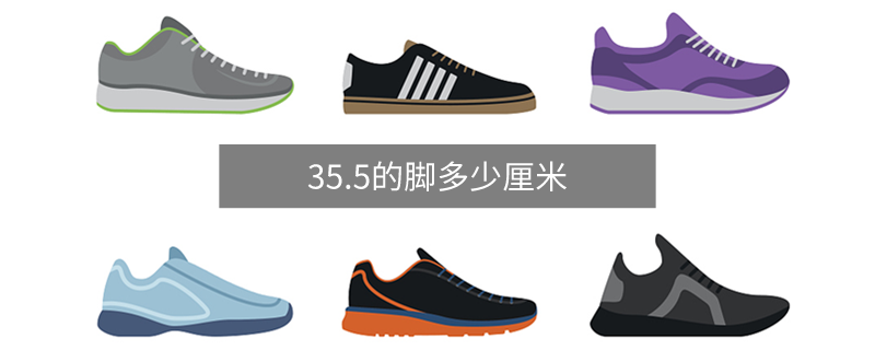 35.5的脚多少厘米