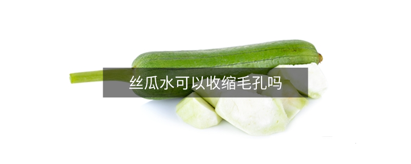 丝瓜水可以收缩毛孔吗