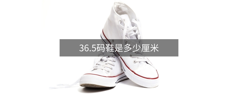 36.5码鞋是多少厘米