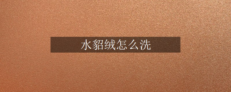 水貂绒怎么洗