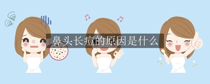 鼻头长痘的原因是什么