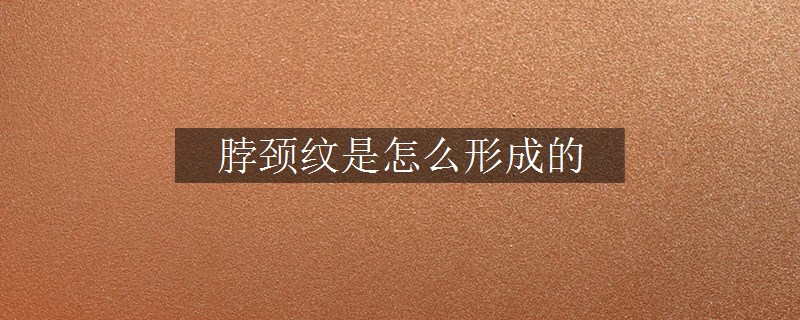 脖颈纹是怎么形成的