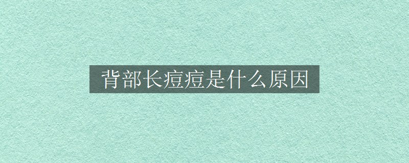 背部长痘痘是什么原因