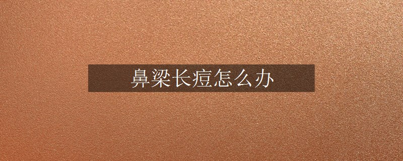 鼻梁长痘怎么办