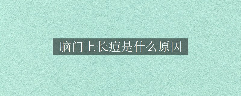 脑门上长痘是什么原因