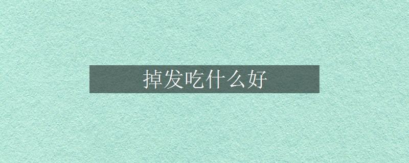掉发吃什么好