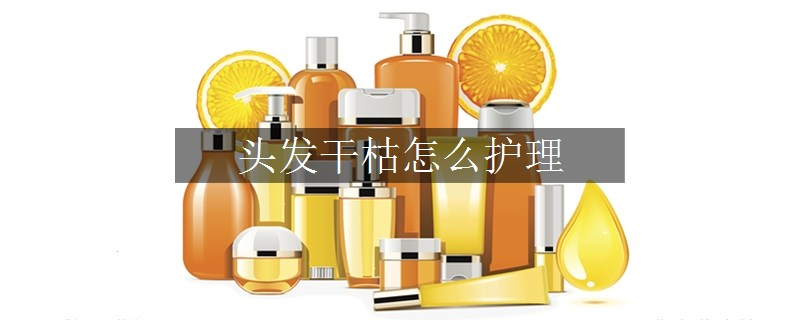头发干枯怎么护理