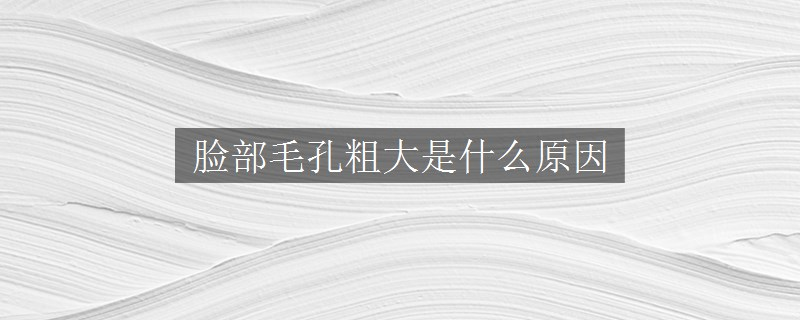 脸部毛孔粗大是什么原因
