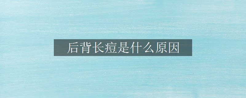 后背长痘是什么原因