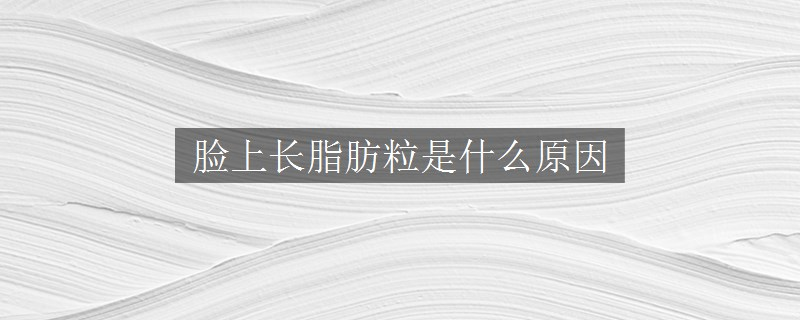 脸上长脂肪粒是什么原因