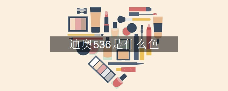 迪奥536是什么色