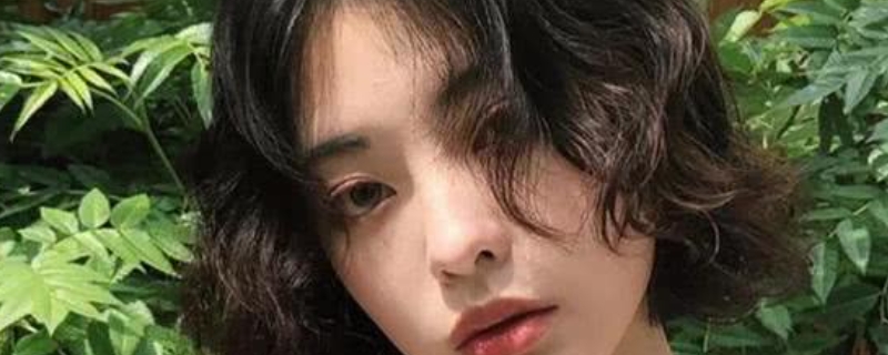 头发少烫什么发型显头发多 头发少烫什么发型显头发多