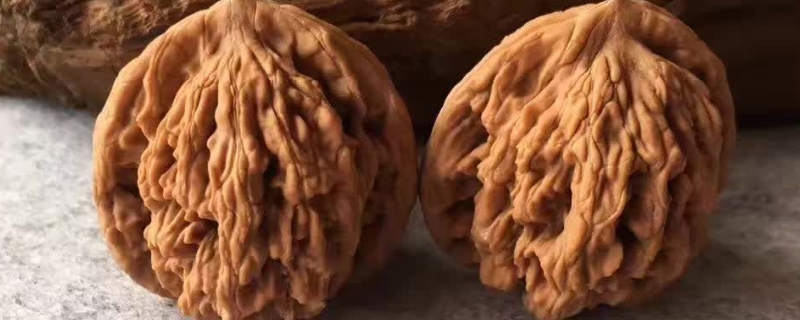 麦穗虎头最终走什么颜色 麦穗虎头最终走什么颜色