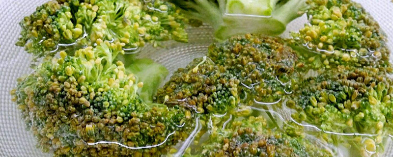 西兰花开花变黄了之后还可以吃吗 西兰花开花变黄了之后还可以吃吗