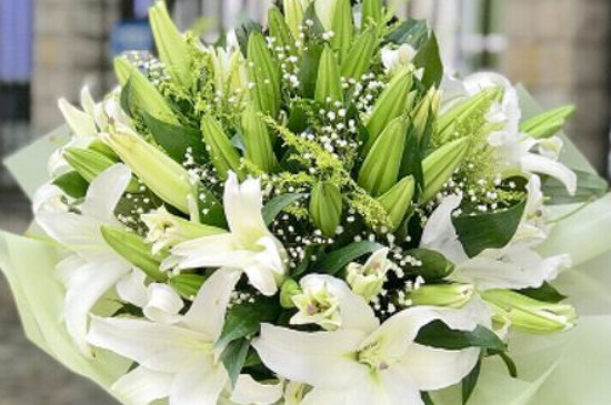 六枝花的花语 六枝花的花语