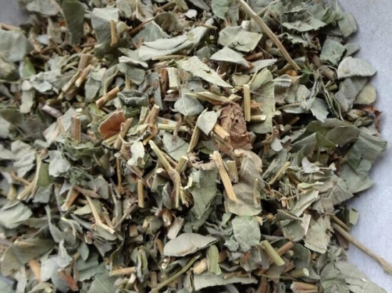 金钱草的功效与作用:长期服用伤脾胃 金钱草的功效与作用:长期服用伤脾胃