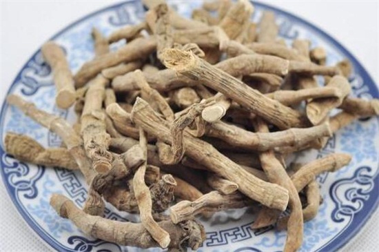 艾草作用是什么,驱蚊/绿化/抗菌/驱寒 艾草作用是什么,驱蚊/绿化/抗菌/驱寒