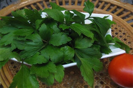 艾草作用是什么,驱蚊/绿化/抗菌/驱寒 艾草作用是什么,驱蚊/绿化/抗菌/驱寒