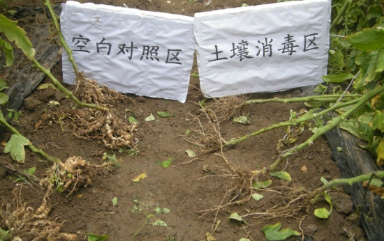 微波炉能给土壤消毒吗:可以,但不建议 微波炉能给土壤消毒吗:可以,但不建议