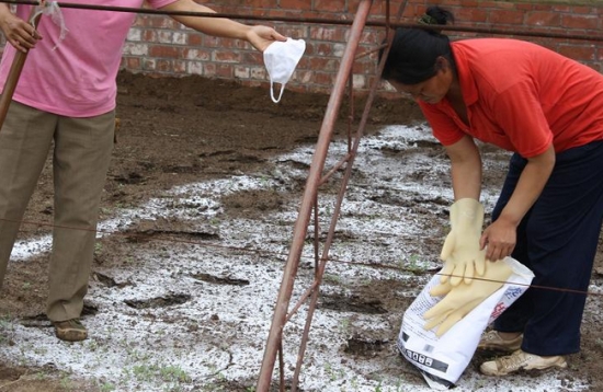 微波炉能给土壤消毒吗:可以,但不建议 微波炉能给土壤消毒吗:可以,但不建议