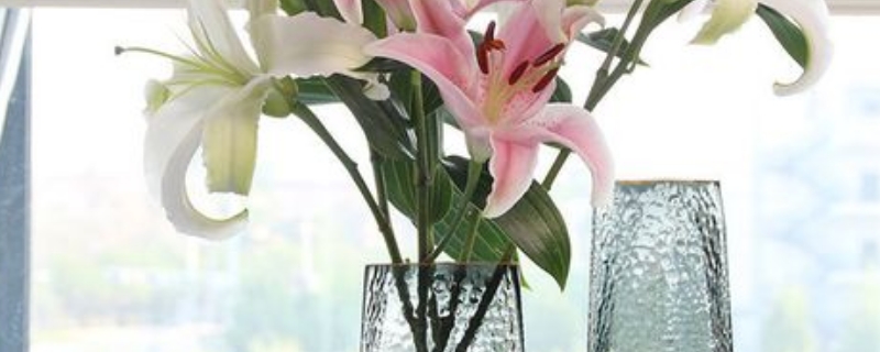 水养百合花的养法 水养百合花的养法