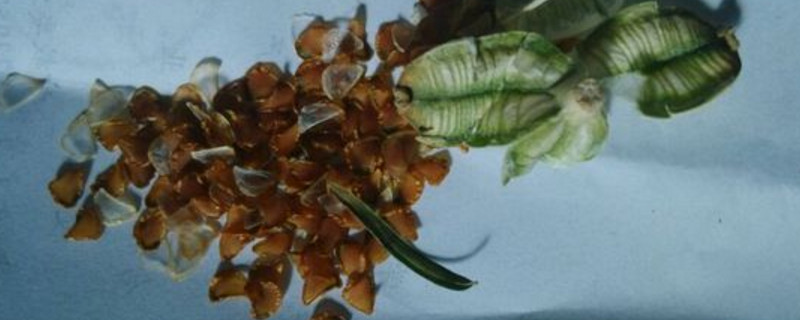 140435_smgqjokttxa.jpg