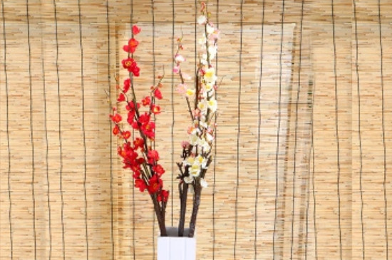 水培干枝梅花能存活多久 水培干枝梅花能存活多久