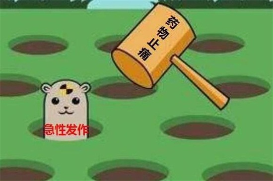 碰碰香的禁忌和功效,过敏人群别养且少去触碰 碰碰香的禁忌和功效,过敏人群别养且少去触碰
